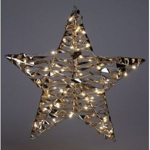 Ster 40cm 60led Shiny Goud